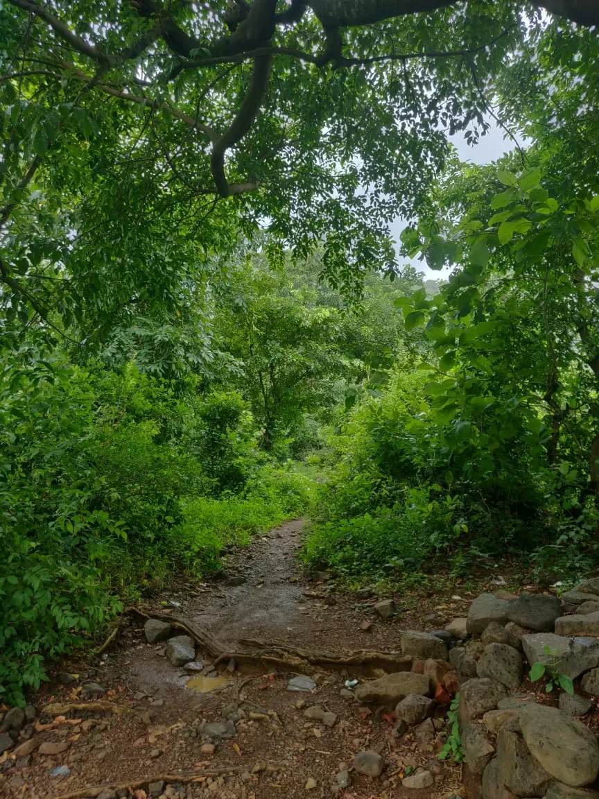 Photo of Lalthane by Arpita Shah
