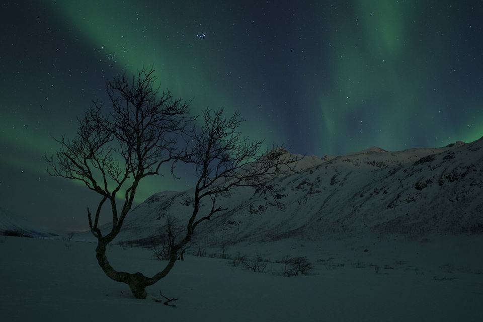 Photo of Why are People in Norway so Happy? by Manali