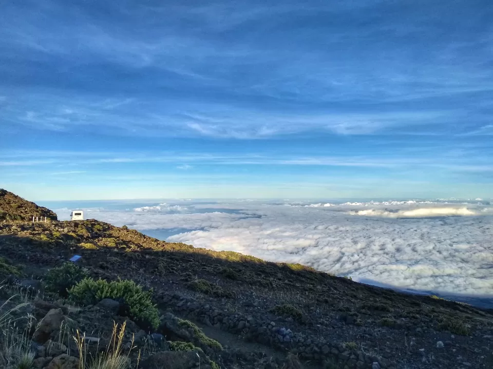 Photo of Hawaii, USA by Manali