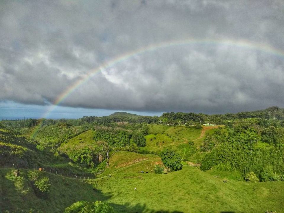 Photo of A Road trip/ Camping trip/ Budget trip in Hawaii! by Manali