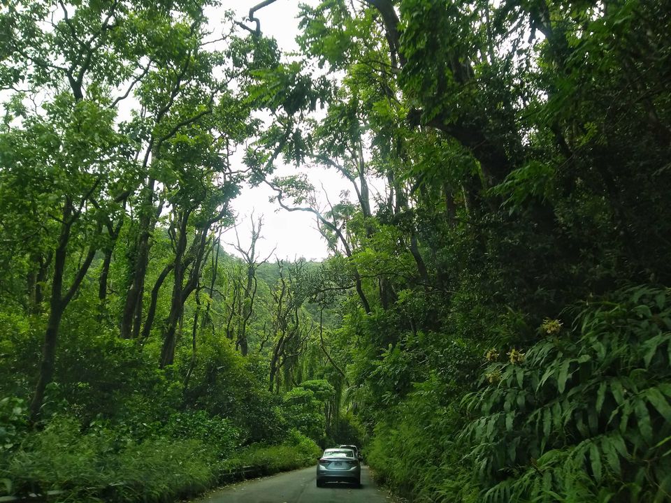 Photo of A Road trip/ Camping trip/ Budget trip in Hawaii! by Manali