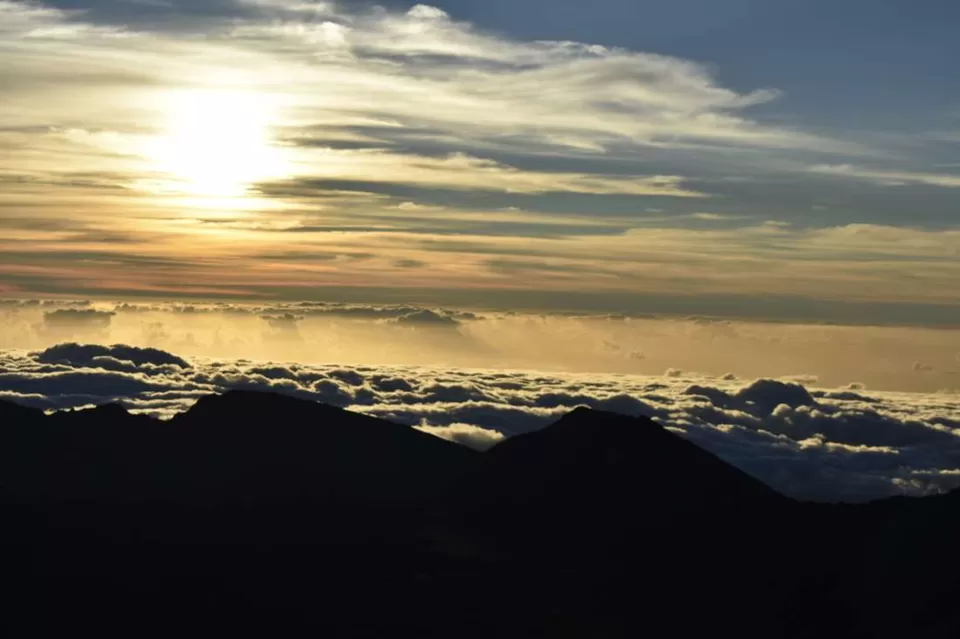 Photo of Hosmer Grove Campground, Kula, HI, USA by Manali
