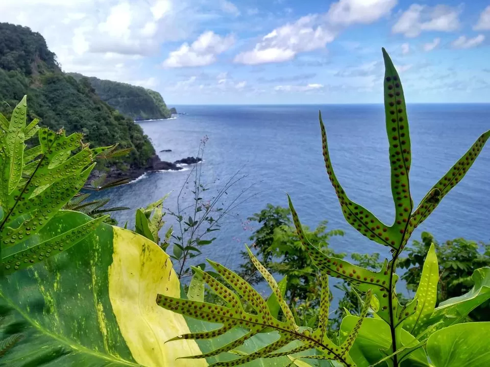 Photo of Waianapanapa State Park, Hana, HI, USA by Manali