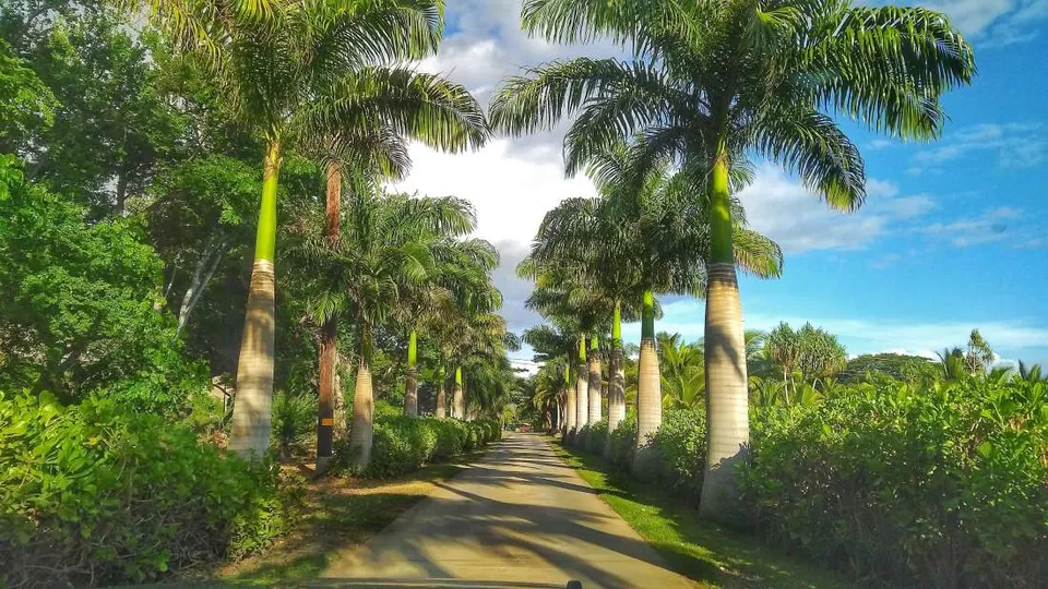 Photo of Camp Olowalu, Olowalu Village Road, Lahaina, HI, USA by Manali