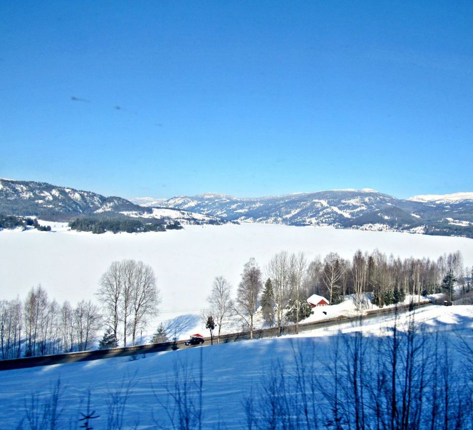Photo of Things to do in Norway: Summer, Winter, Dog sledding, Northern Lights by Manali
