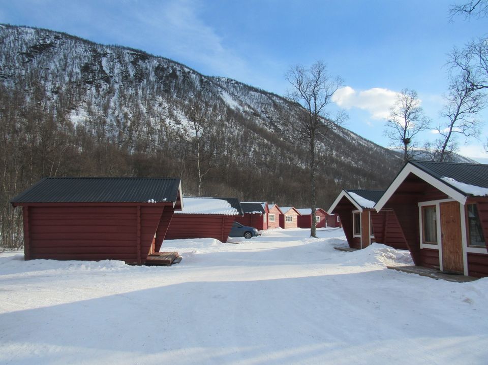 Photo of Things to do in Norway: Summer, Winter, Dog sledding, Northern Lights by Manali