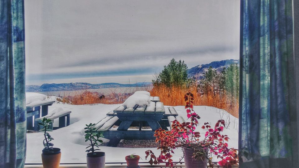 Photo of Things to do in Norway: Summer, Winter, Dog sledding, Northern Lights by Manali