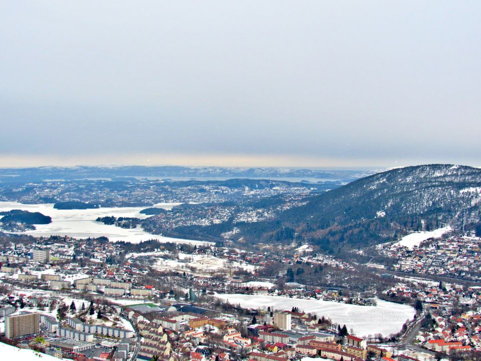 Photo of Things to do in Norway: Summer, Winter, Dog sledding, Northern Lights by Manali