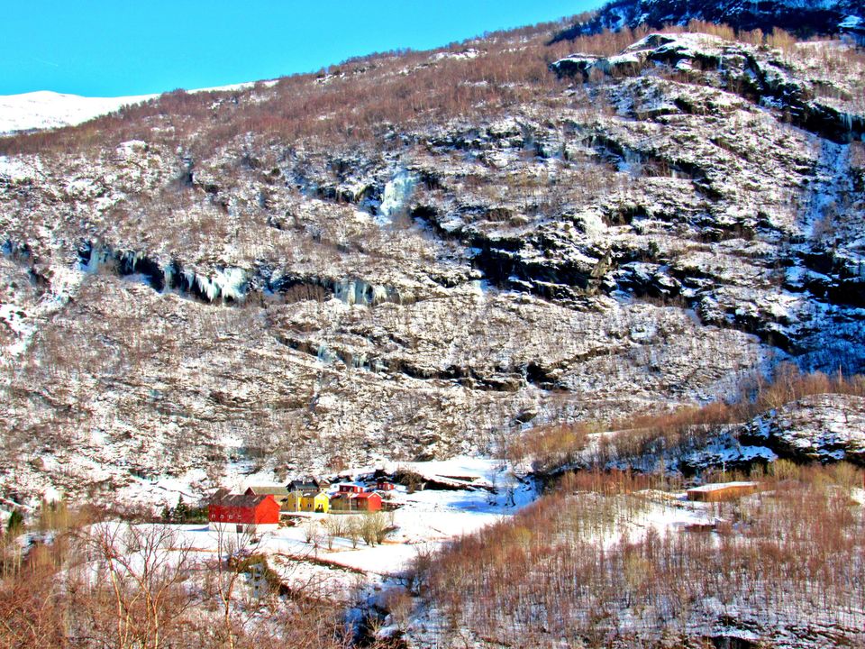 Photo of Things to do in Norway: Summer, Winter, Dog sledding, Northern Lights by Manali