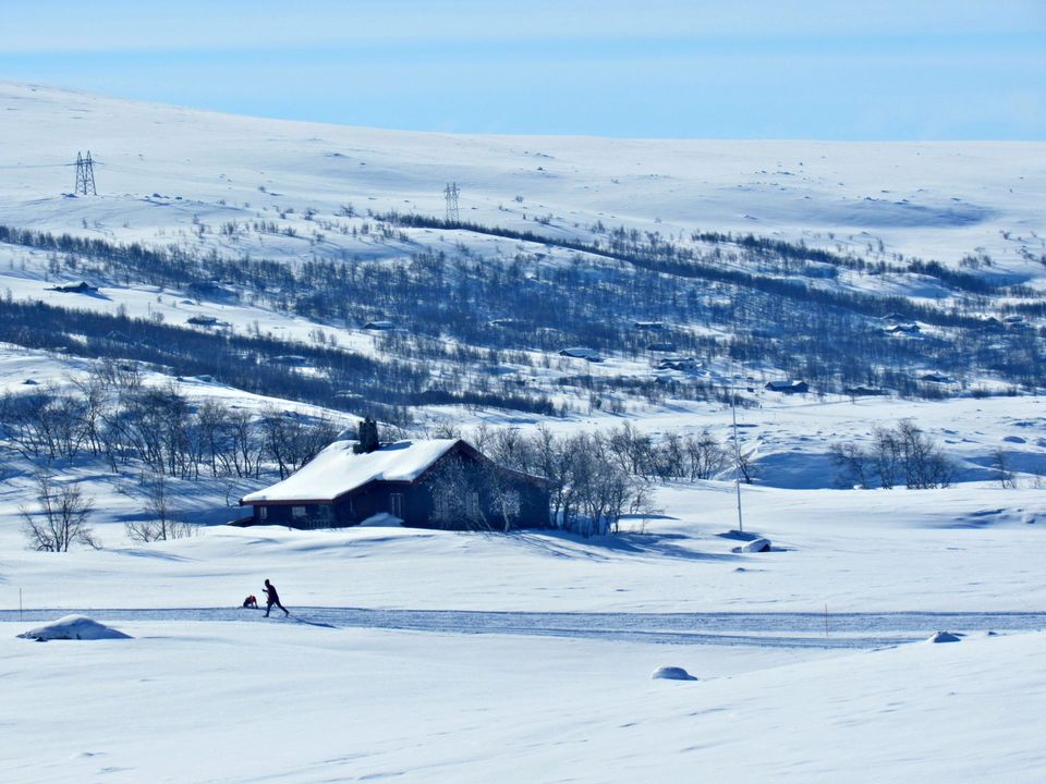 Photo of Things to do in Norway: Summer, Winter, Dog sledding, Northern Lights by Manali