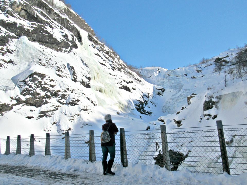 Photo of Things to do in Norway: Summer, Winter, Dog sledding, Northern Lights by Manali