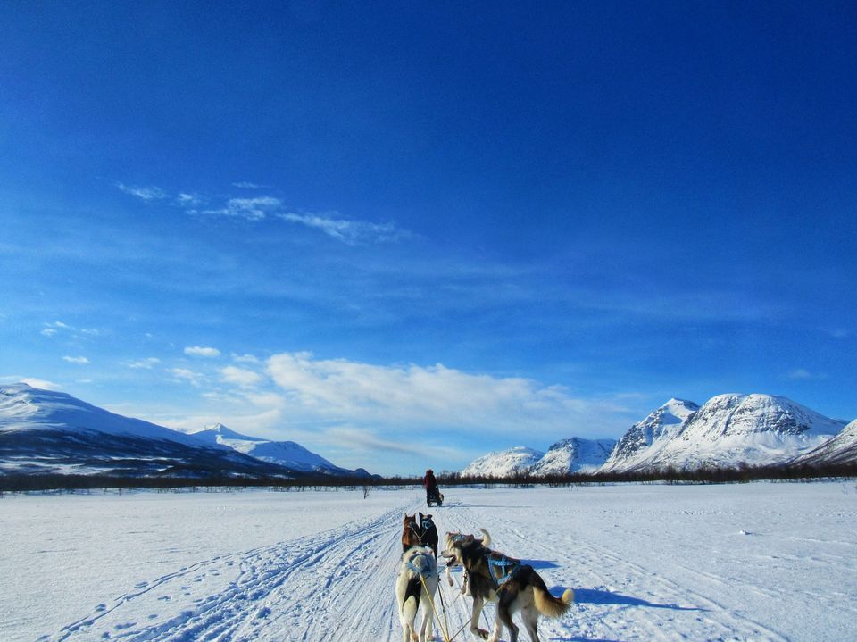Photo of Things to do in Norway: Summer, Winter, Dog sledding, Northern Lights by Manali
