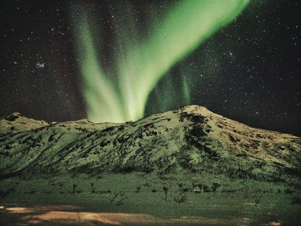 Photo of Things to do in Norway: Summer, Winter, Dog sledding, Northern Lights by Manali