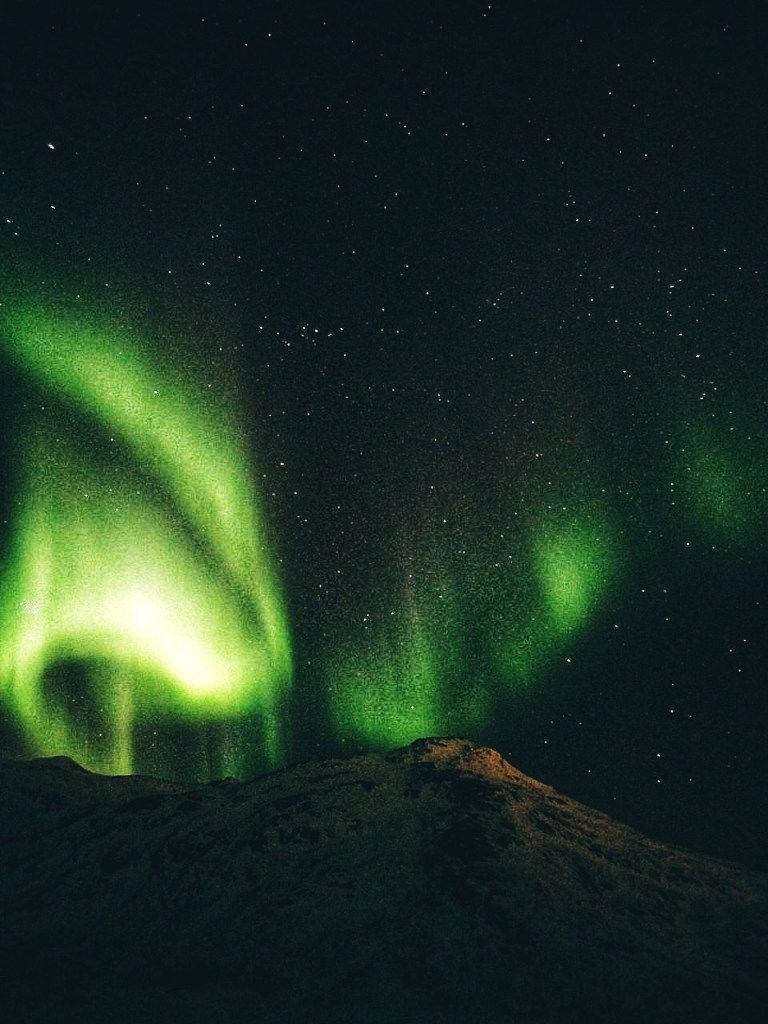 Photo of Things to do in Norway: Summer, Winter, Dog sledding, Northern Lights by Manali