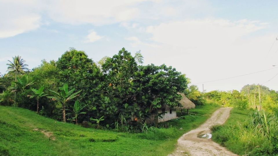 Photo of Living with a Mayan family in Aguacate! by Manali