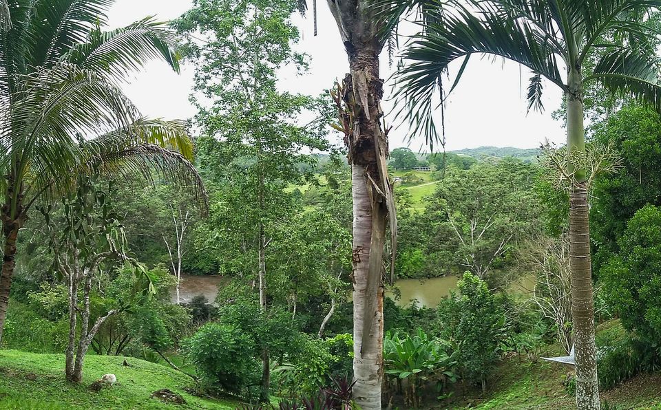 Photo of Unique and affordable stays in Belize * the Inquisitive Robot 4/9 by Manali