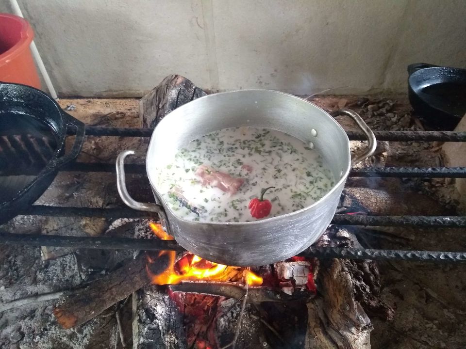 Photo of Local food in Belize that you can't miss #foodmemory #IWillGoAnywhereForFood by Manali