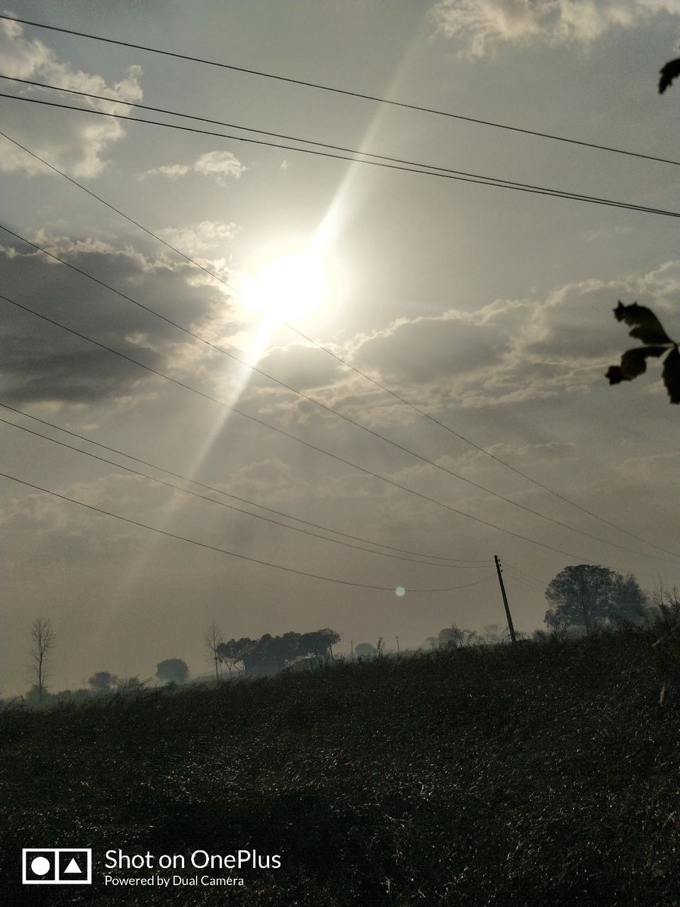 Photo of बुलंदशहर, Uttar Pradesh, India by Pratiksha Shankhdhar