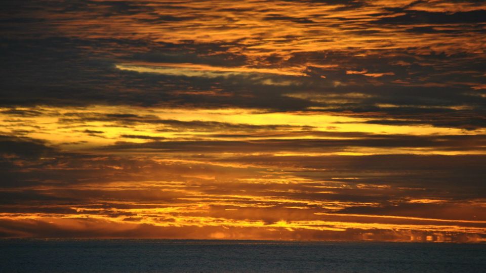 Photo of Waihi Beach camping trip by Noopur Shah