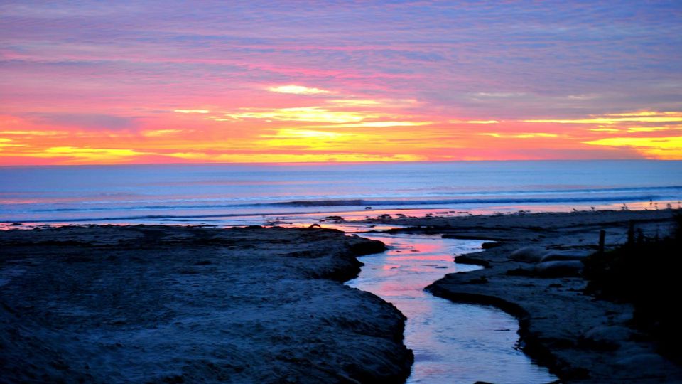 Photo of Waihi Beach camping trip by Noopur Shah