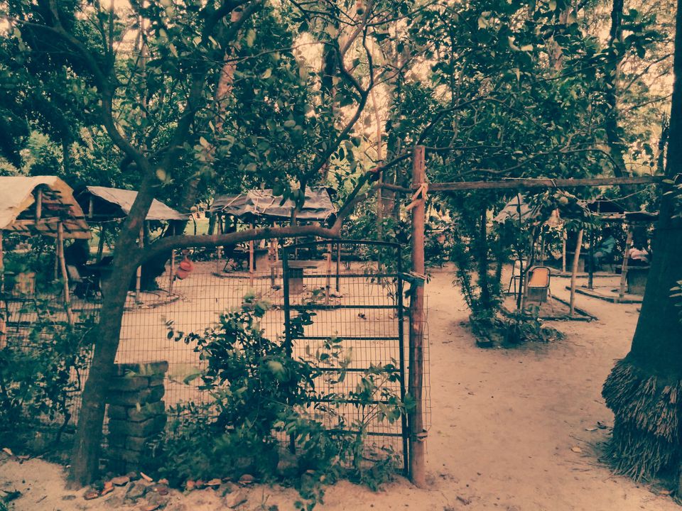 Photo of Rabindra Sarobar: An Abode of Nature, Beauty & Tranquility 3/9 by Wandering girls