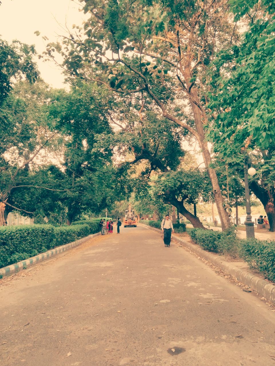 Photo of Rabindra Sarobar: An Abode of Nature, Beauty & Tranquility 5/9 by Wandering girls