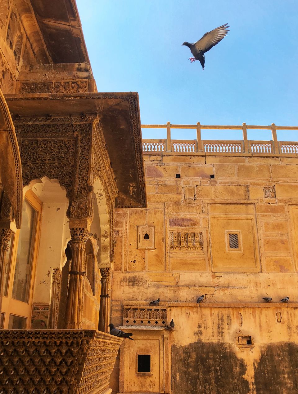 Photo of RAJASTHAN, That I travelled. #learningholiday by ADITI PORWAL
