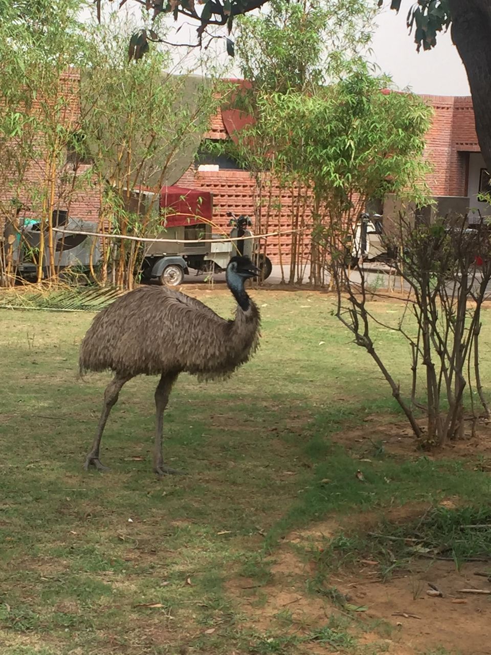 Photo of Weekend Getaway at Westin Sohna Resort & Spa by Priyanka Chakrabarti