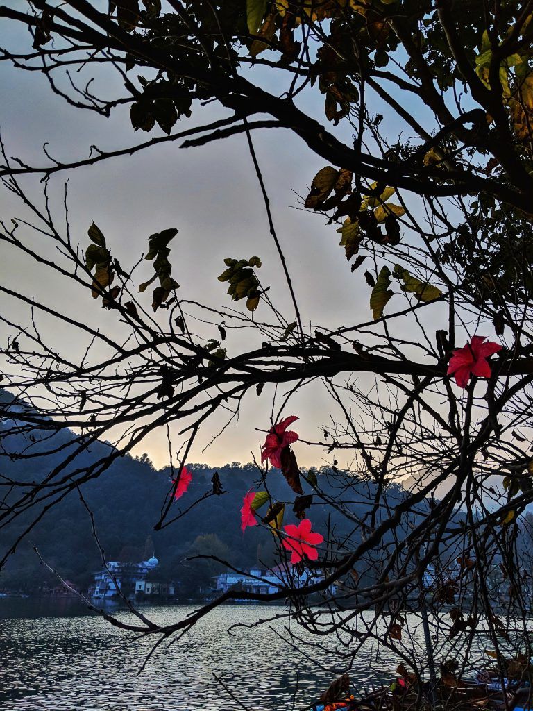 Photo of Nainital - Getaway From Delhi by Ajmira
