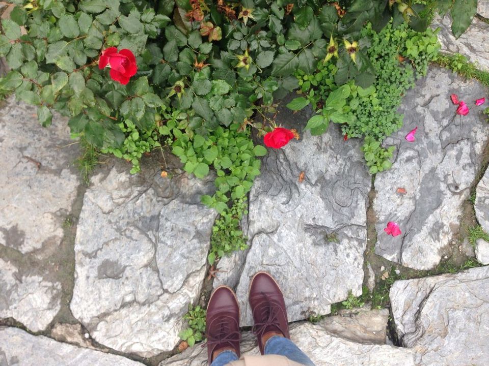 Photo of TEN REASONS TO VISIT MCLEODGANJ! by Ajmira