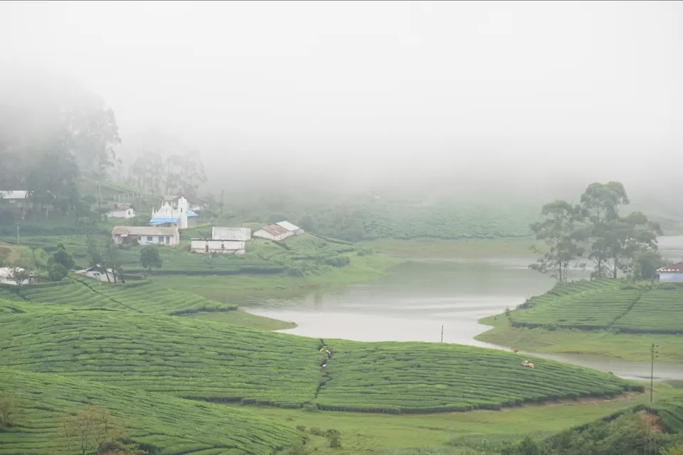 Photo of Megamalai, Tamil Nadu, India by Kerina Bene