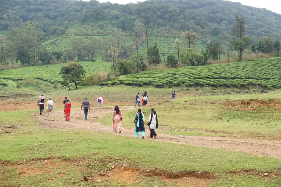 Photo of Megamalai Lake View Point மேகமலை, Highwavys Dam Road, Megamalai, Tamil Nadu, India by Kerina Bene