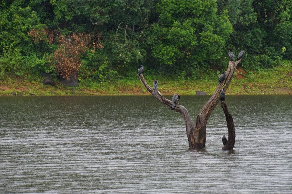Photo of A Weekend is all you need - Madurai to Megamalai by Kerina Bene