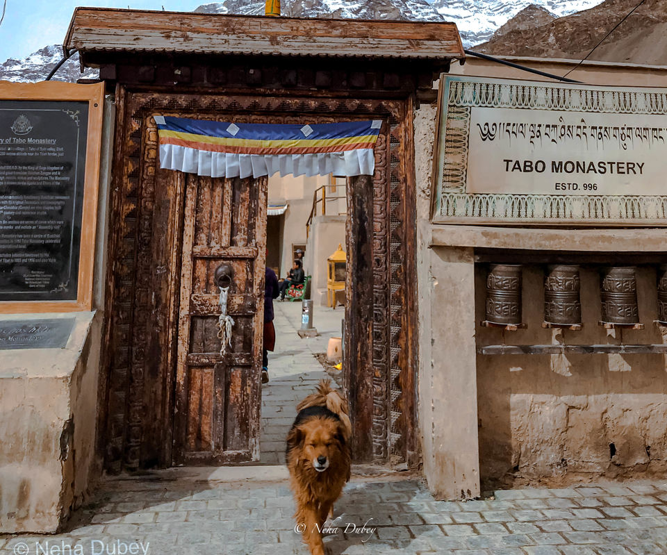 Photo of Dreamy Spiti- Winter Wonderland by Neha Dubey