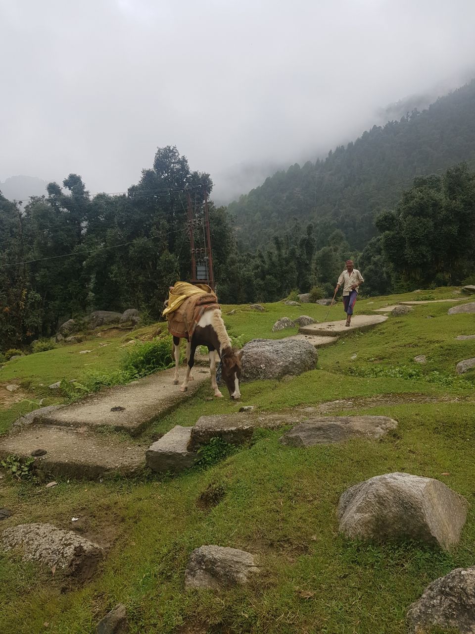 Photo of Kareri Trek by Harman Kohli