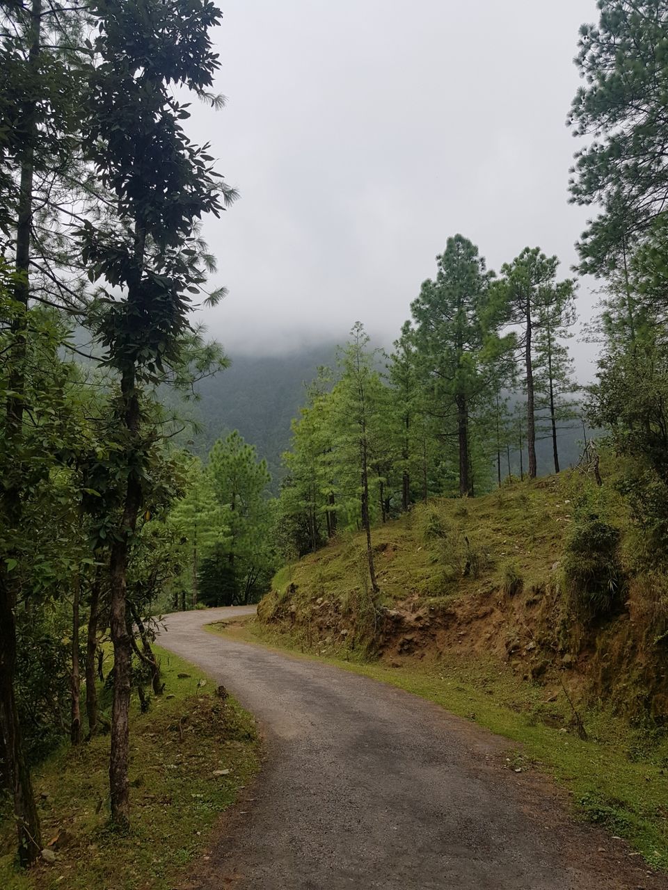 Photo of Kareri Trek by Harman Kohli