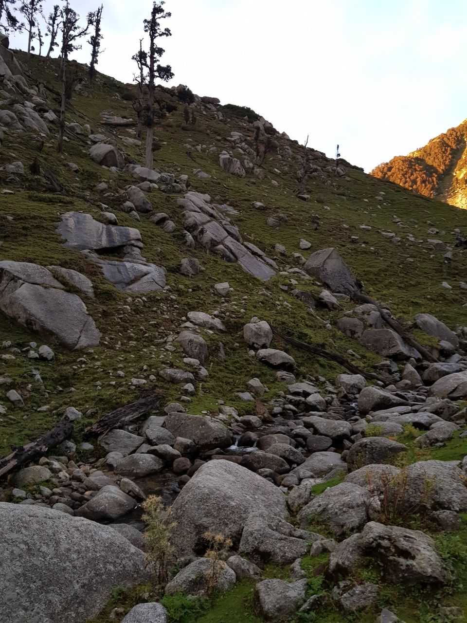 Photo of Kareri Trek by Harman Kohli