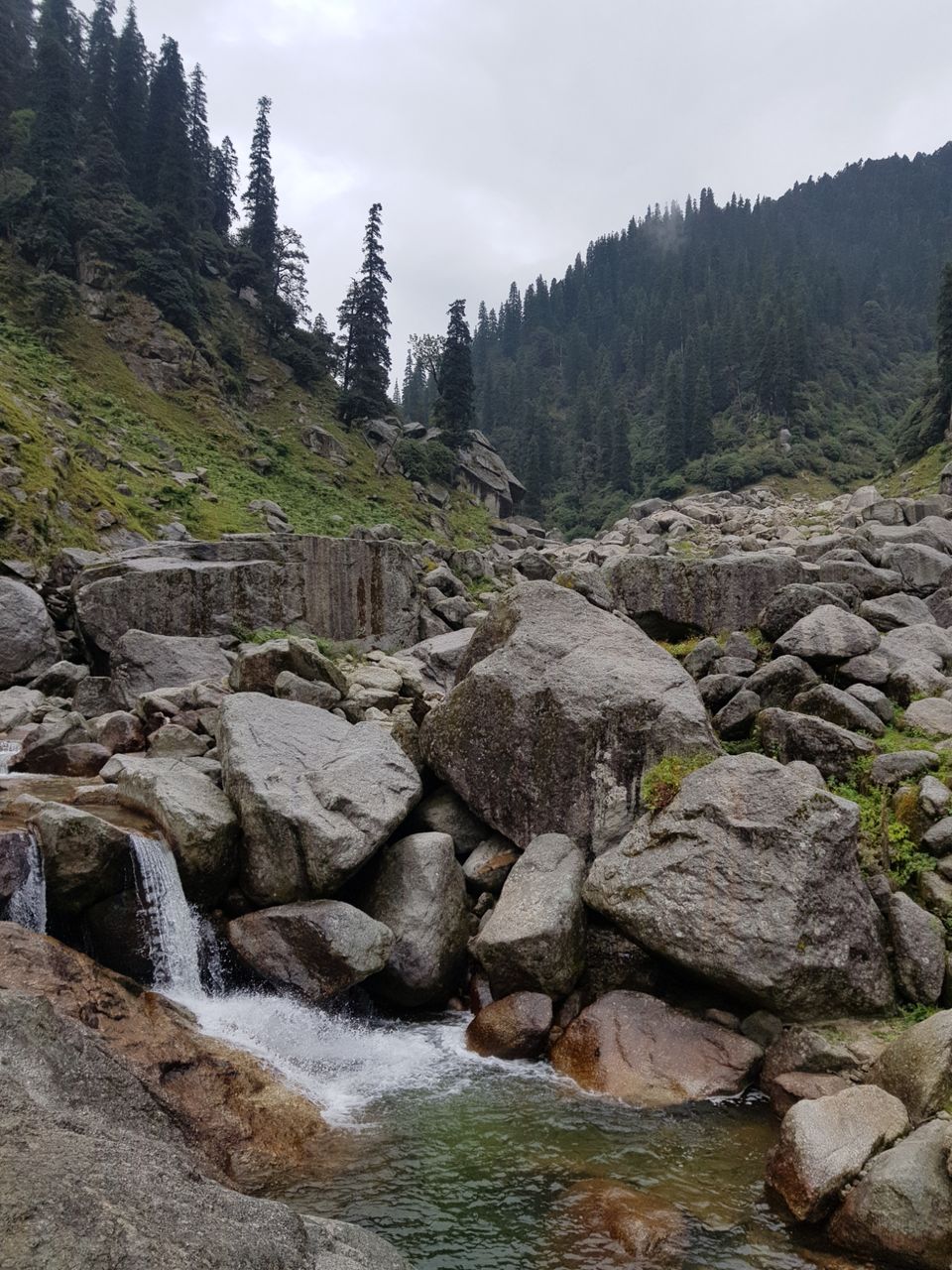 Photo of Kareri Trek by Harman Kohli