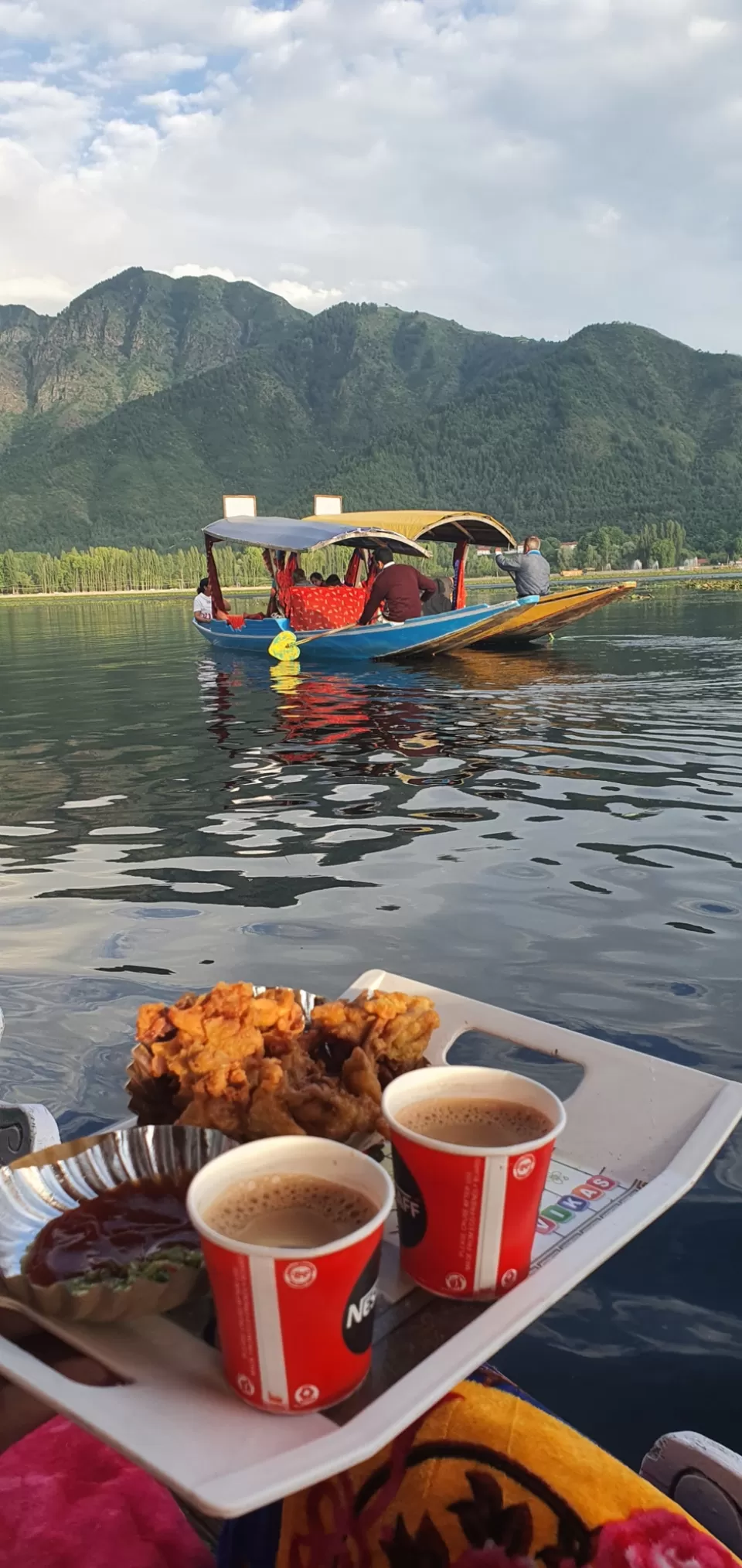 Photo of Lovable srinagar and pahalgam by Harman Kohli