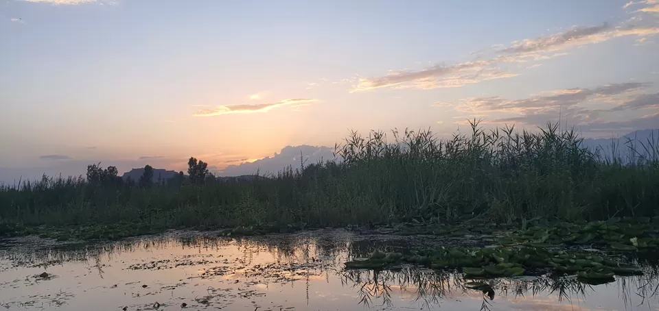 Photo of Lovable srinagar and pahalgam by Harman Kohli