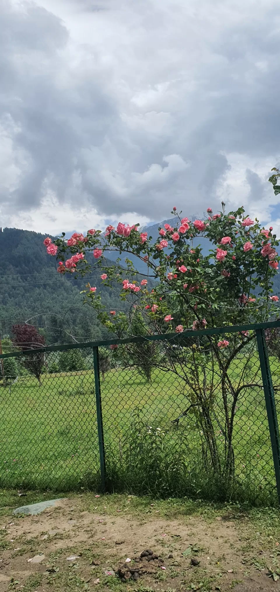 Photo of Lovable srinagar and pahalgam by Harman Kohli