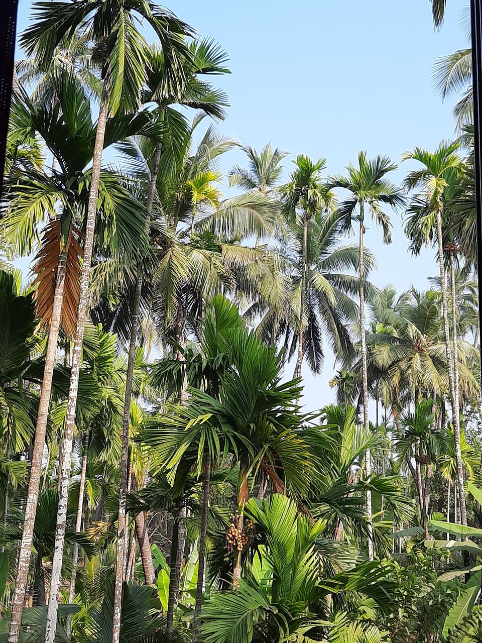 Photo of Nearest beach from Pune 1/4 by Ajinkya Redij