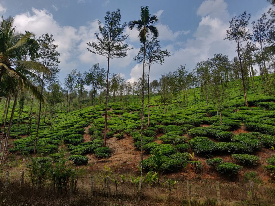 Photo of Chikkamagaluru, Karnataka, India by Jyotsna Katiyar