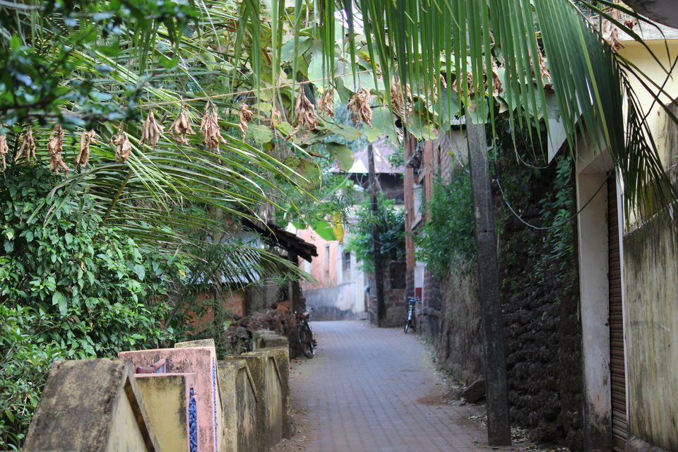 Photo of Gokarna - JUST a mini Goa? 7/11 by Jyotsna Katiyar