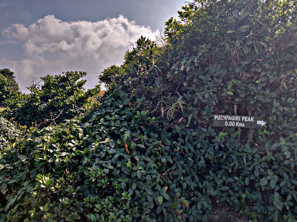 Photo of Kumara Parvatha Trek Tale: Trek to 6th highest peak in Karnataka by Jyotsna Katiyar