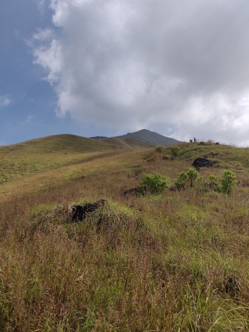 Photo of Kumara Parvatha Trek Tale: Trek to 6th highest peak in Karnataka by Jyotsna Katiyar