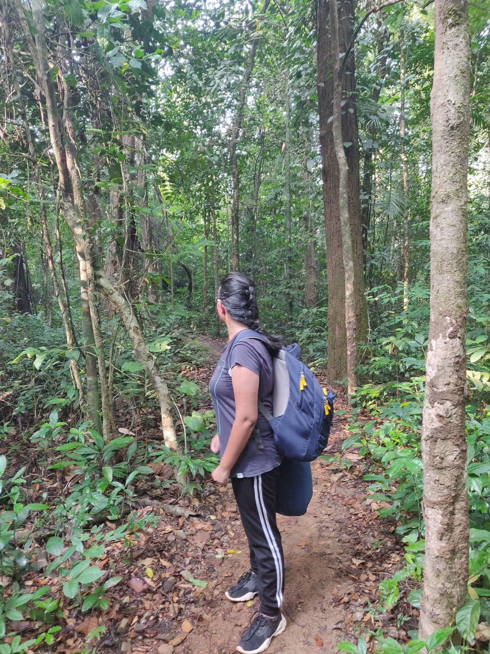 Photo of Kumara Parvatha Hiking Trail, Kumarahalli, Karnataka, India by Jyotsna Katiyar