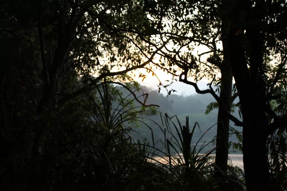 Photo of Road Trip to Wayanad,Kerala and Ooty by Anil Kumar Chavala