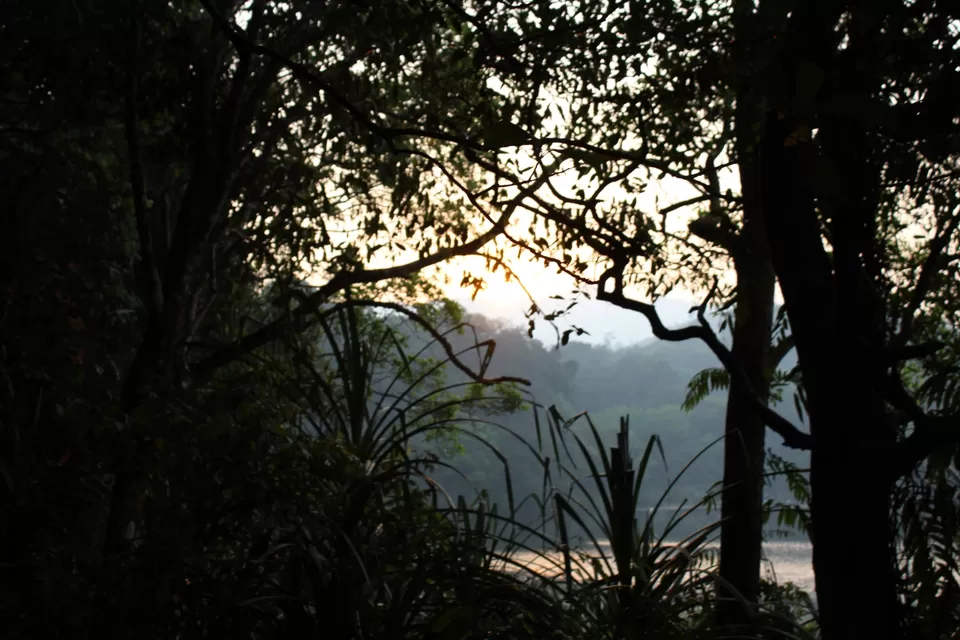 Photo of Road Trip to Wayanad,Kerala and Ooty by Anil Kumar Chavala