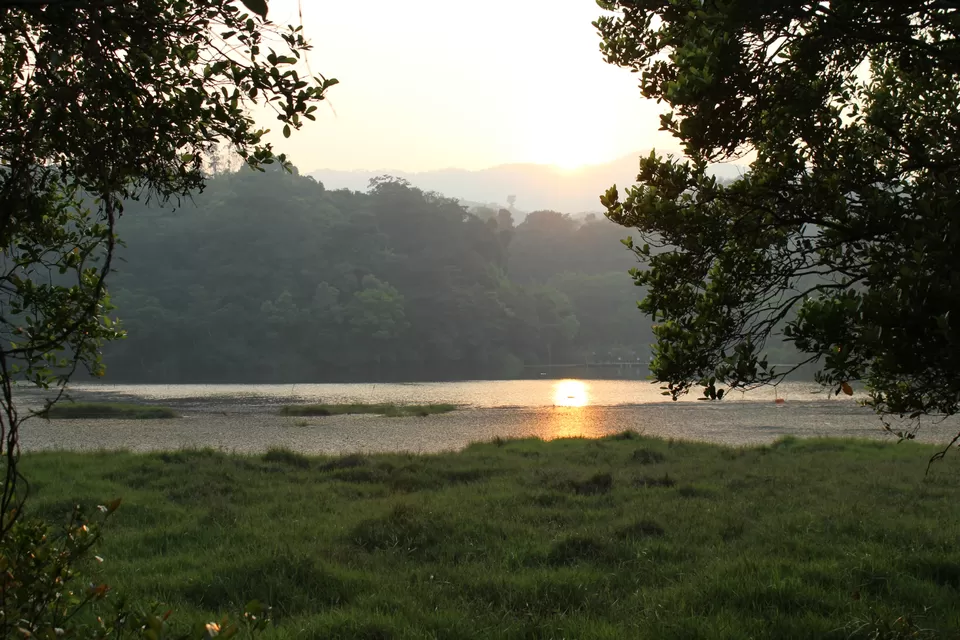 Photo of Road Trip to Wayanad,Kerala and Ooty by Anil Kumar Chavala